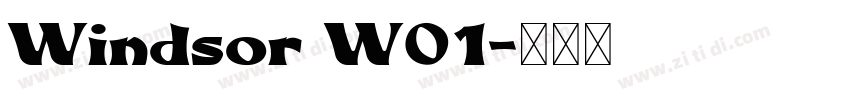 Windsor W01字体转换